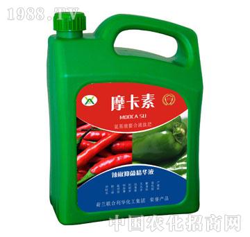 �����־����AҺ-Ħ����-��(qi��ng)о��(gu��)�H