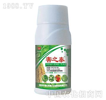 ��̩֮-�°��r��