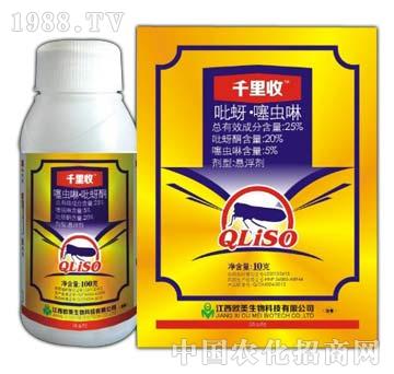 25%�������x��-ǧ����-����