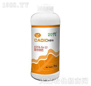 ���_�������F��-ɭ��