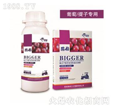 �������ӌ��ø߷��ӏ�(f��)�����ЙC(j��)����Һ��-�̸�-�ɭ�r(n��ng)�I(y��)