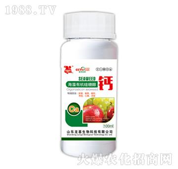 �ЙC(j��)���Ǵ��}-��������