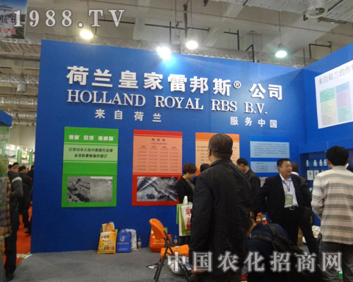 �װ�˹-���Ժ��m������(w��)�Ї�