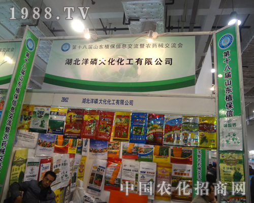 ���״�2012����ֲ���p�����ϱM�@���