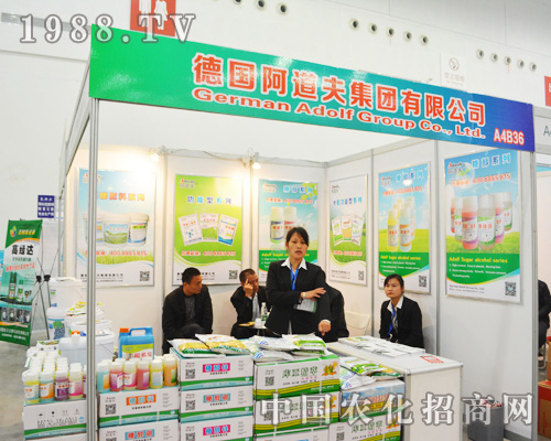     �������򅢼�2014ȫ��ֲ����