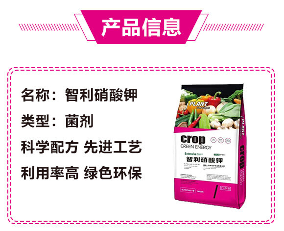 ���������-��̩��_02