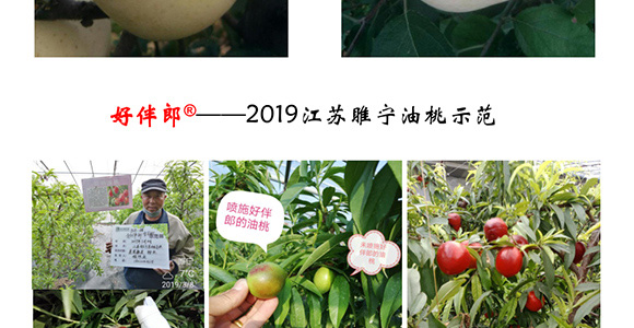 �ð���-�̩_16