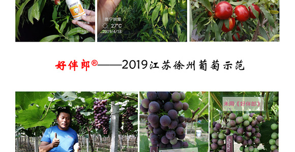 �ð���-�̩_17