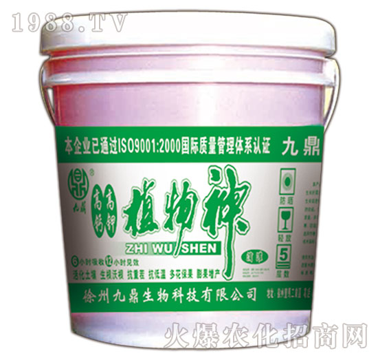 ֲ����-�Ŷ�-�ذ�Ȫ