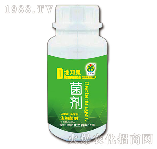 �������-�ذ�Ȫ