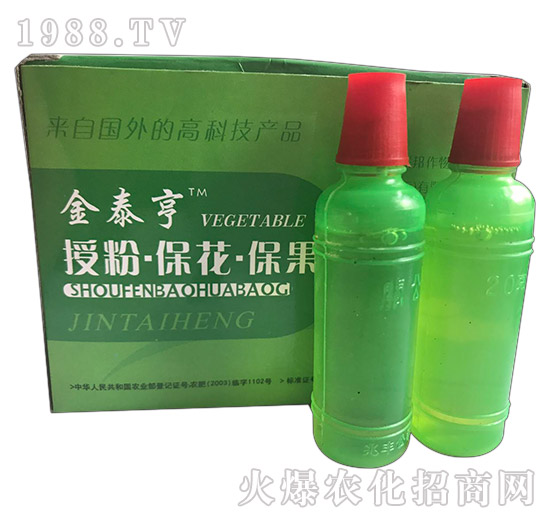 ��̩��-�ڷ۱���������