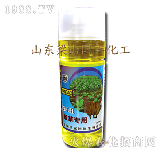 ���݌����~���-��ɽ���S