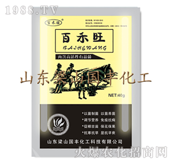 �ٺ���������-��ɽ��(gu��)�S