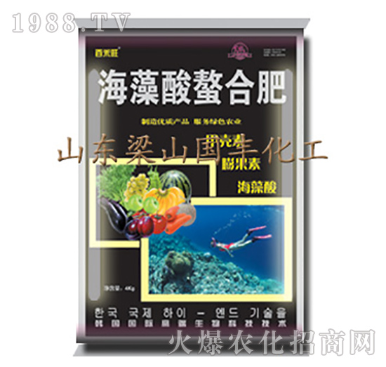 海藻酸螯合肥-梁山國豐