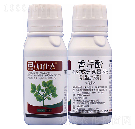 5%���۷�-���˼�-�̩����