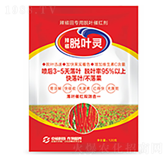 Ó�~�`-�����Ƽ�