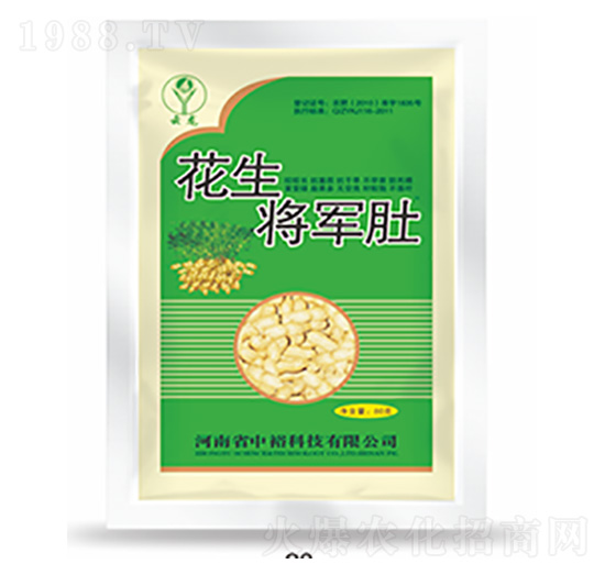 ������܊��-�����Ƽ�