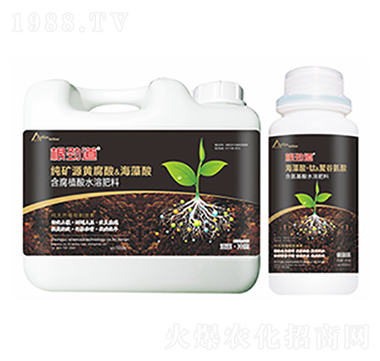 ���ŵ�-��ԣ�Ƽ�