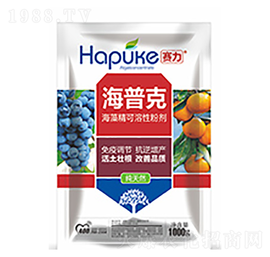 ِ�����տ�-�����Ƽ�