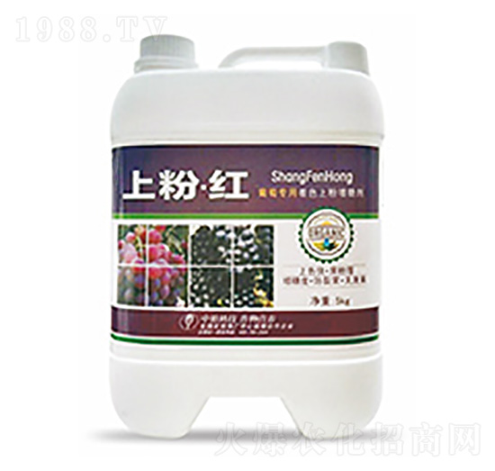 �Ϸۡ��t-�����Ƽ�