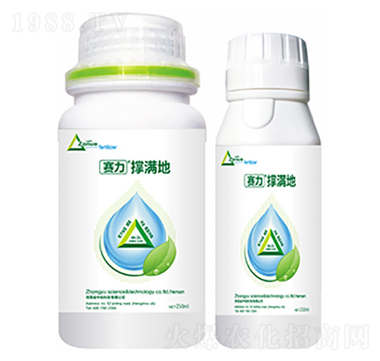 �ΝM��-�����Ƽ�