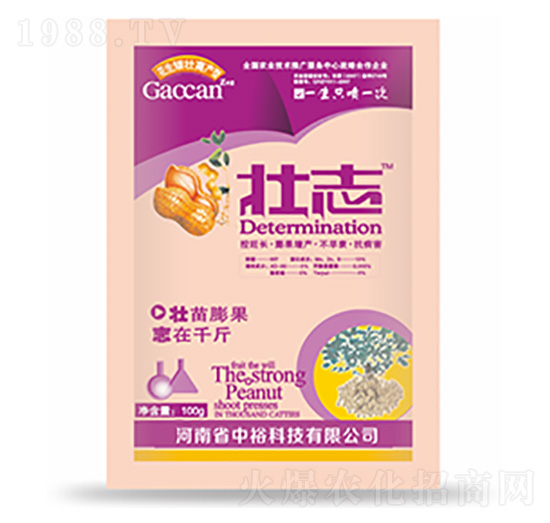 ��־-�����Ƽ�