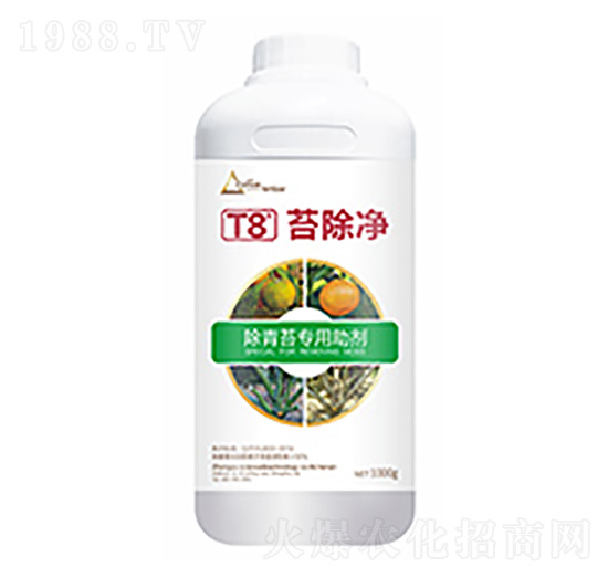 ̦����T8-�����Ƽ�