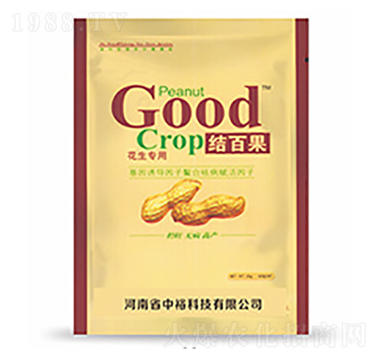 �Y(ji��)�ٹ�-�����Ƽ�