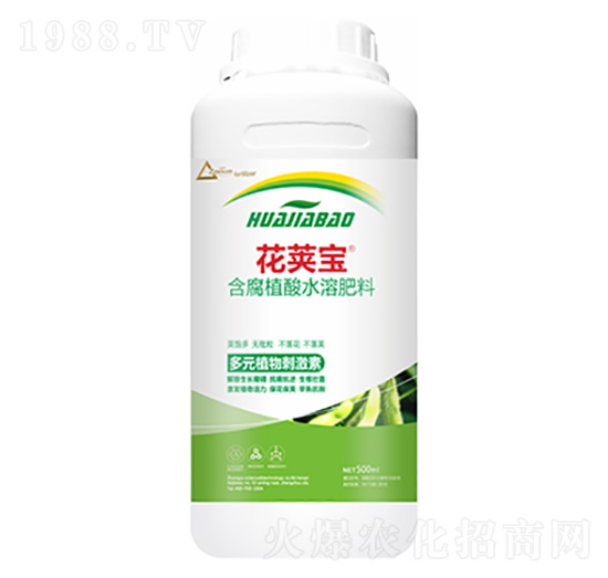 �󶹻�Ӣ��-��ԣ�Ƽ�