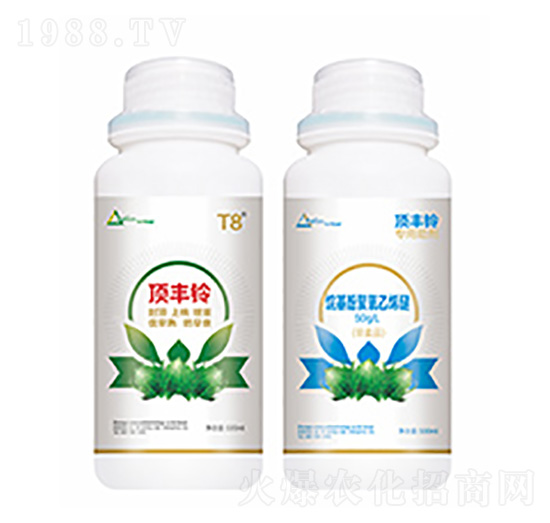 ��S�-�����Ƽ�