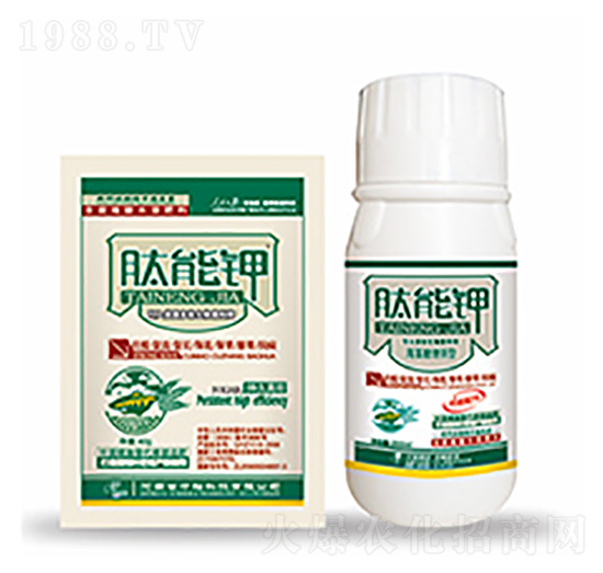 �����-�����Ƽ�