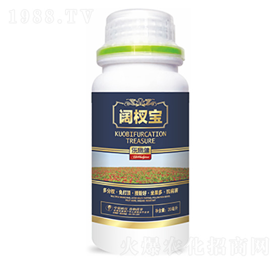 �辌�-�����Ƽ�