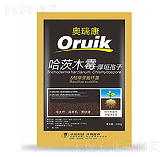 �W��-�����Ƽ�