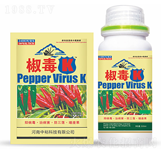 ����K-�����Ƽ�