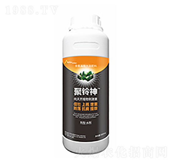 �����-�����Ƽ�