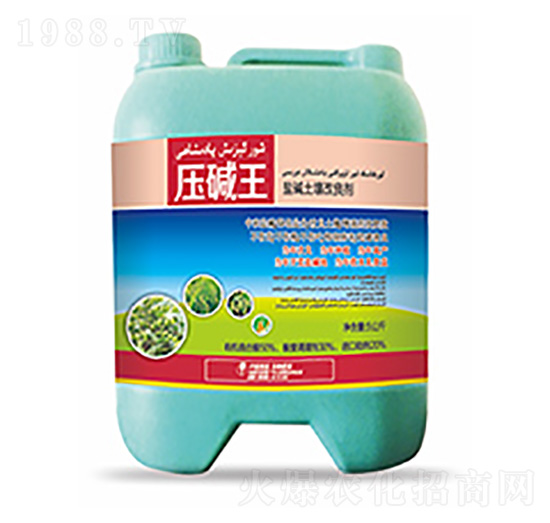 �}�A����������-���A��-�����Ƽ�