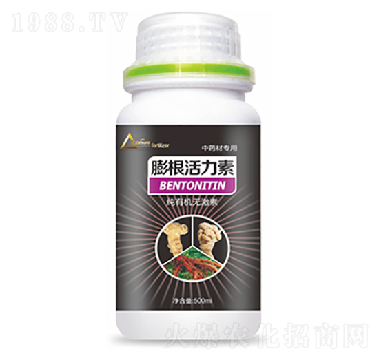 ��ˎ�Č������������-�����Ƽ�