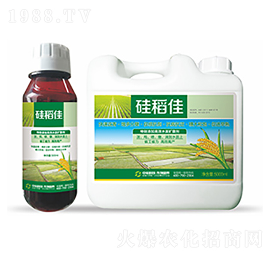 �赾��-�����Ƽ�