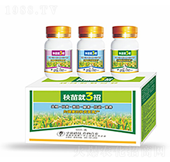 �����3��-�����Ƽ�