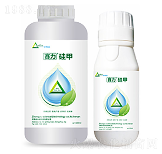 ِ�����-�����Ƽ�