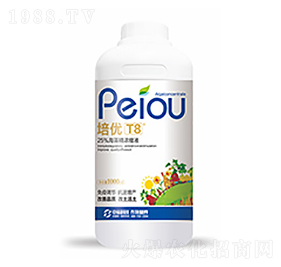 ����(y��u)T8-�����Ƽ�