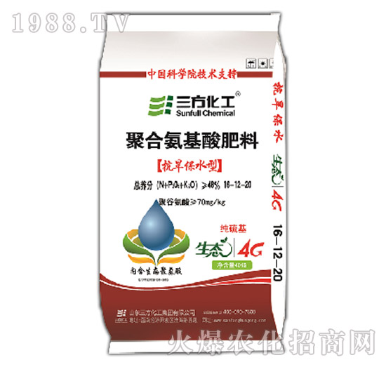 �ۺϰ��������-���B(t��i)4G16-12-20S-��������