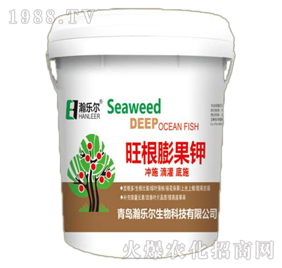 ��������-嫘���