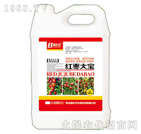 �t����-嫘�(l��)��