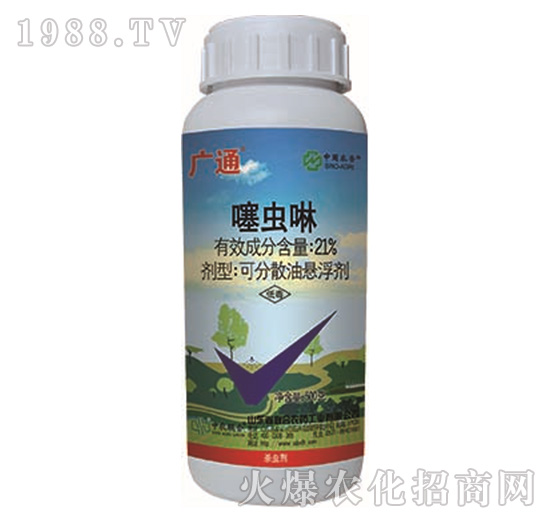 21%���x��-�Vͨ-���r(n��ng)(li��n)��