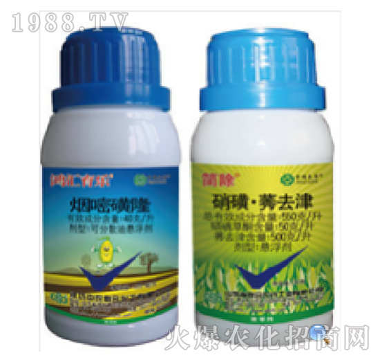 40��ÿ�����׻�¡+550��ÿ�����ǡ��Pȥ��-����-���r(n��ng)(li��n)��