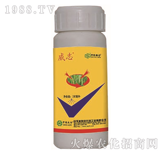 5%���S����-��־-���r(n��ng)(li��n)��