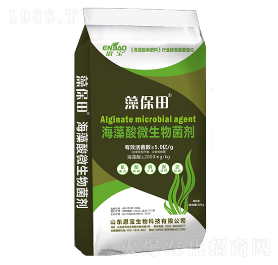 ������΢����������w����-�屣��-����