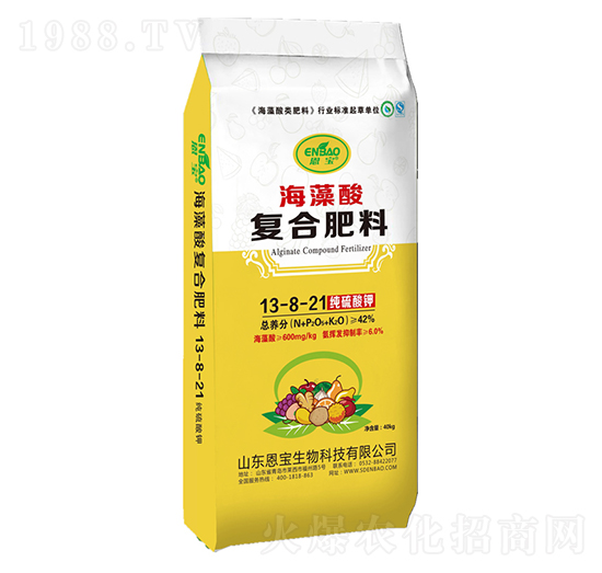 ������ͺϷ�13-8-21-����