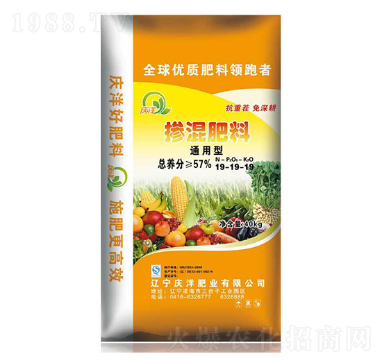 ͨ���͓������19-19-19-�c��ʘI(y��)